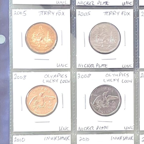 Collection of 24 Special Loonies + 24 Duplicates in Nickel Plate! - Picture 10 of 16
